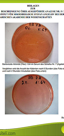 BULGARISCHE-AKADEMIE-DER-WISSENSCHAFTEN-BUAA-DE BULGARISCHE AKADEMIE DER WISSENSCHAFTEN
